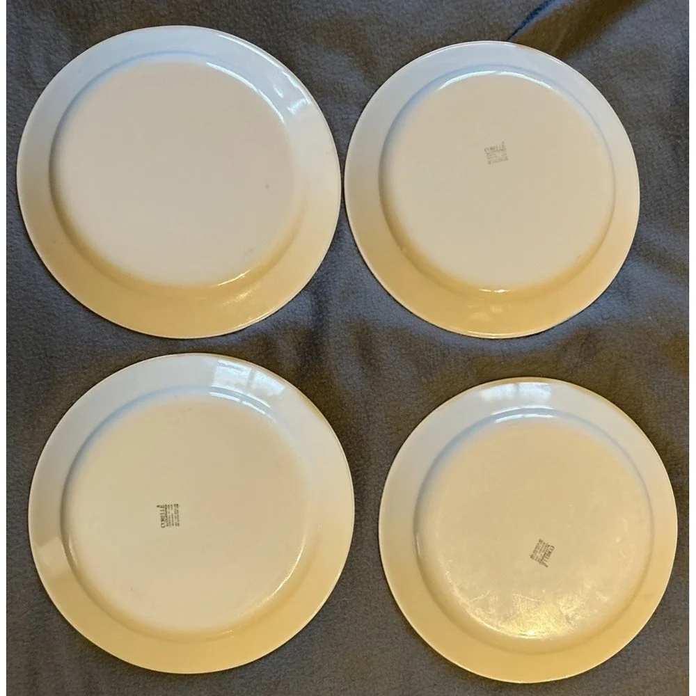 VTG Corelle by Corning CALICO ROSE 10¼
